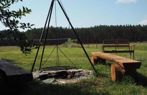 Agroturystyka Pod Orzechem - Foto 27