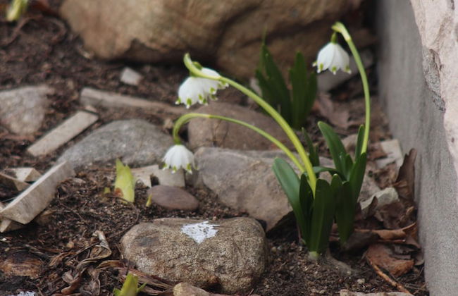 Champêtre Park View Apartments - Foto 3