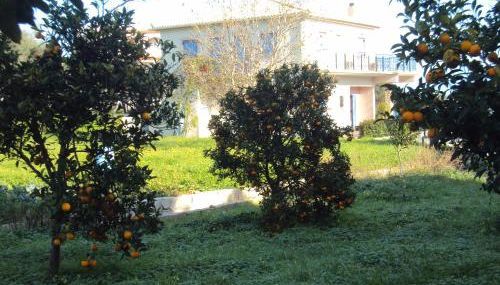 Villa Nostos - Foto 5