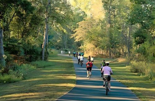 Charlotte tiny Home getaway 5 min to lake Wylie - Foto 15