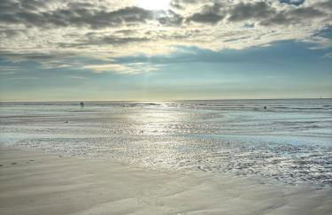 La cour d Anvers - Foto 39