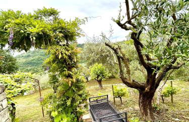 Mas Chantequinson - Foto 12