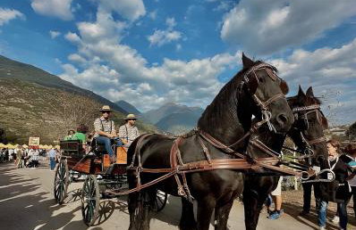 Appartamento Il Giardino - Foto 14