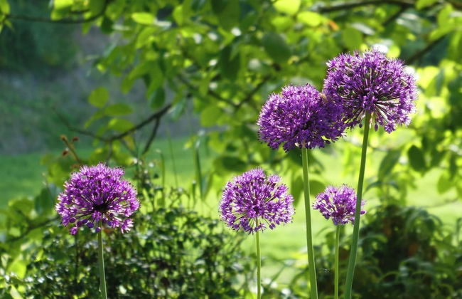 Panoramic Villa in Tuscany Rolling Hill, Well Connected, Everyday new Journey to - Foto 41