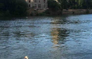 Studio Face à L’Île Barbe - Foto 11