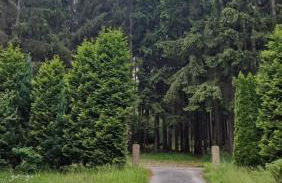 Altes Zollhaus im Wald - Foto 64