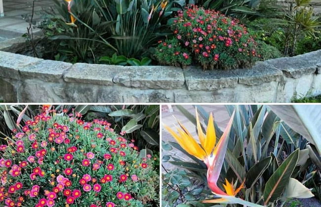 Agriturismo Agrifoglio - Foto 29