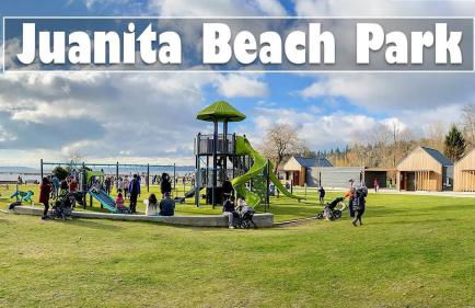 Chic Kirkland Home Overlooking Windsor Vista Park - Photo 36