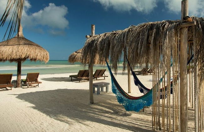 Ganztägige Tour nach Holbox und Passion Island mit Cenote, Transport und Mittagessen - Foto 8