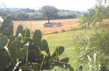 Agriturismo La Carletta - Foto 60