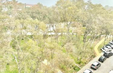 Apartamento Faro - T3 - Foto 10