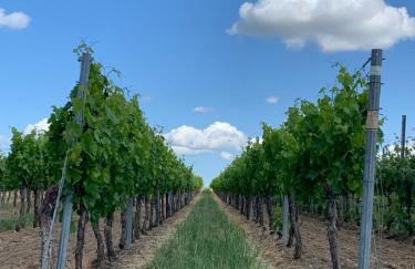 The Hampton Hock's - Wellness & Wine - Foto 80