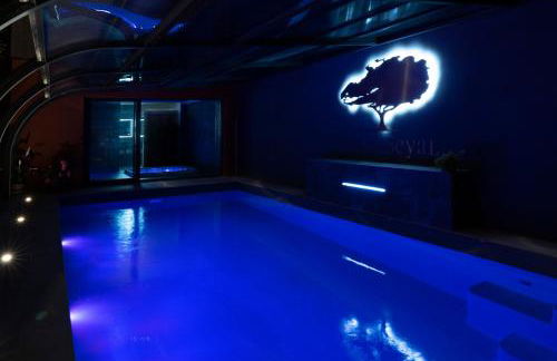 Villa Seyal - avec piscine - jacuzzi - sauna & climatisation - Foto 18