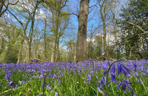 The Pig and Sty - Foto 8