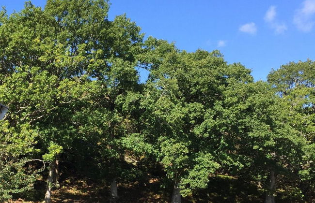 5 Star Holiday Home in Mastrand - Foto 6