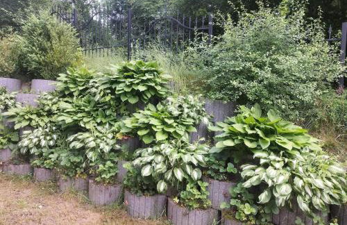 Holiday Home in Kretowiny near Lake - Foto 23