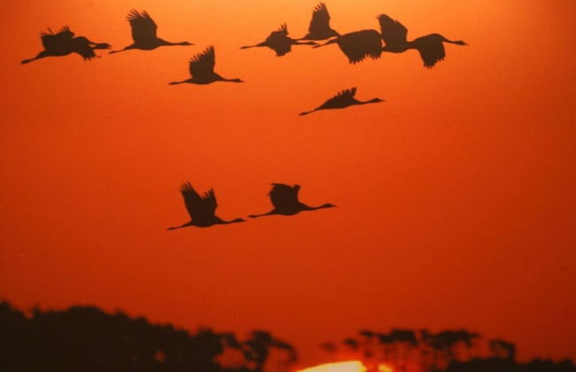 Holiday Apartment Dune House - Foto 14