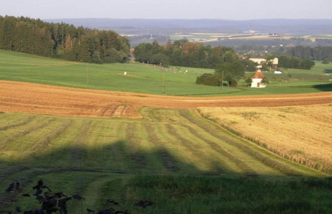 Spacious Apartment near Forest in Bad Dürrheim - Foto 30