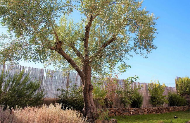 Holiday Home in Guadiana Park Near River - Foto 40