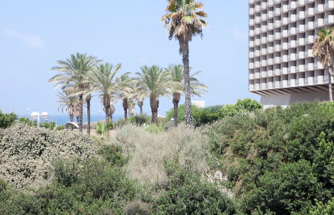 Liber Apartments - Foto 53