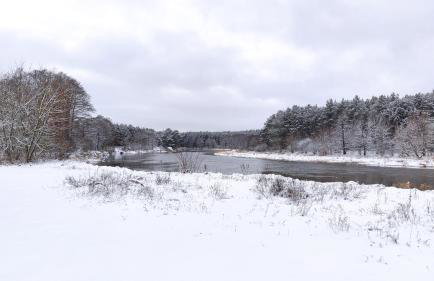 Dom z basenem nad Narwią - Foto 34