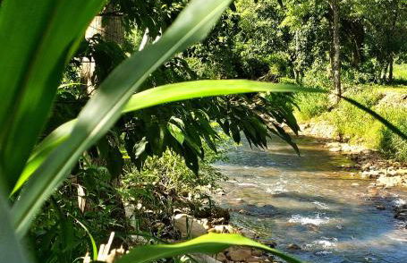 Chalé Girassol 4 - Foto 20