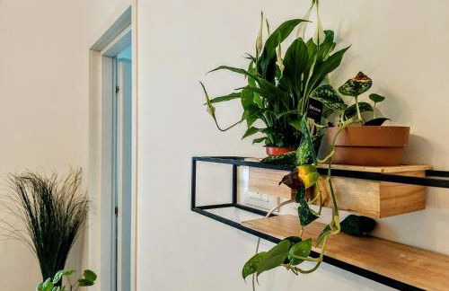 City Apartment - Il Ghiro - Foto 62