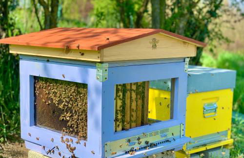 Pet and Breakfast Pet Friendly Country House - Foto 32