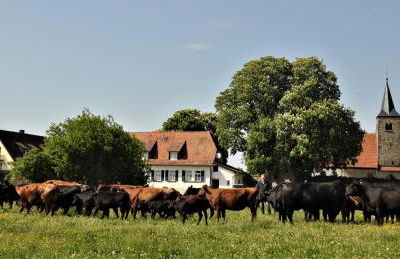 Schäfer's Ferienhof Michaelsberg - Foto 29