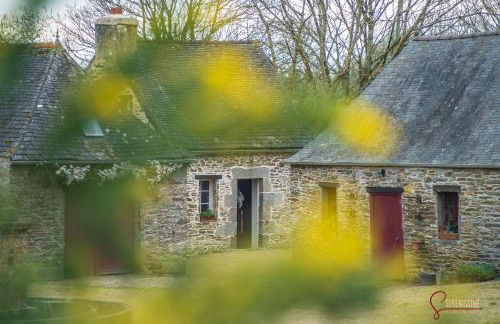 La maison du Cocher - Photo 3