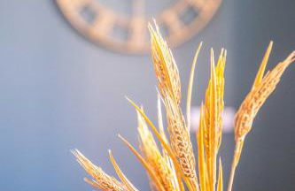 Amazing Apartment with aFun and Friendly Atmosphere - Photo 17