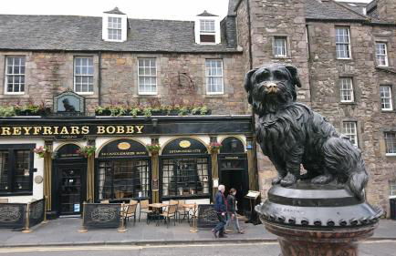 Violet Bank Apartment Morningside - Foto 31