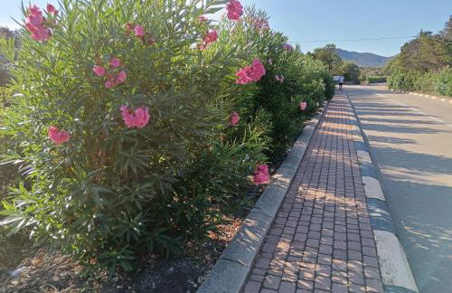 Grazioso bilocale a Porto Rotondo in Costa Smeralda - Photo 39