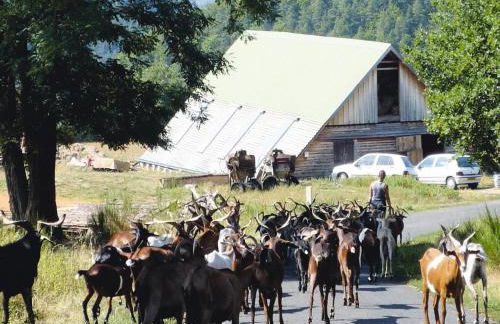 Rural Pool Retreat in the Hills - Foto 26