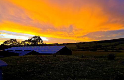 Glen Bay - 2 Bed Lodge on Friendly Farm Stay with Private Hot Tub - Foto 14