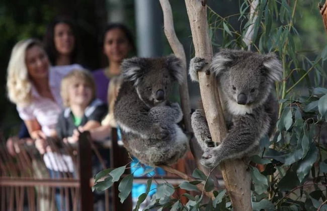 Class, Style and Location in Carlton - Photo 13