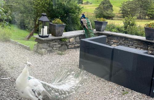 Treeside woodhouse - Foto 8