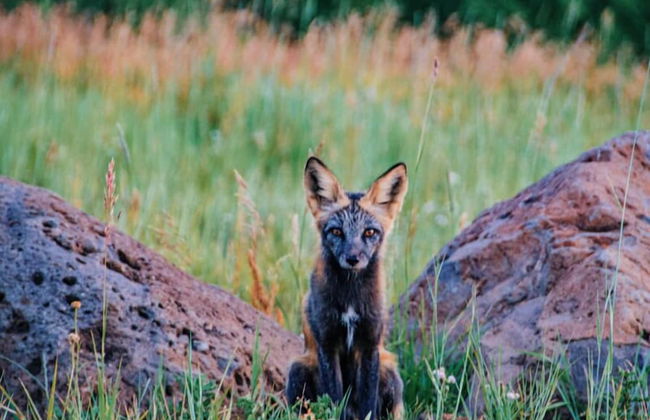 EML 6 Hidey-Hole - Foto 31