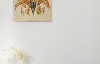 Appartamento La Vela - Photo 42