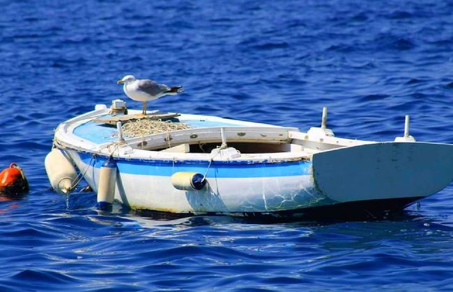 Apartments Danolic 2 - Foto 38