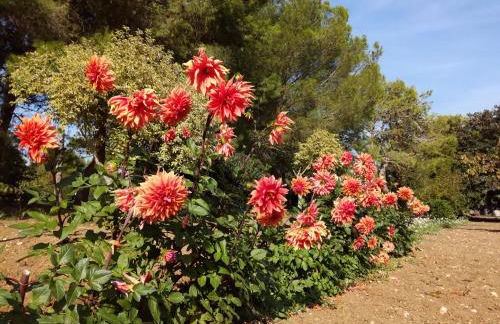 Agriturismo Torrevecchia - Foto 42