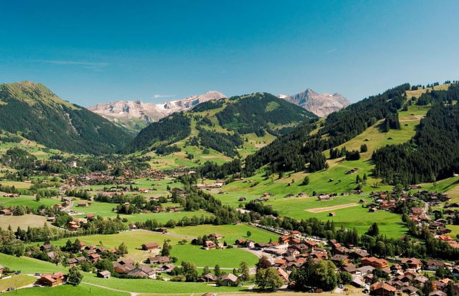 Fluehüsli - Foto 12