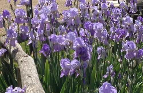 Agriturismo Il Sambuco - Foto 51