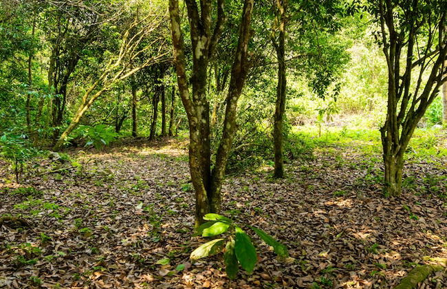 Casa de campo Los Yungas - Photo 13