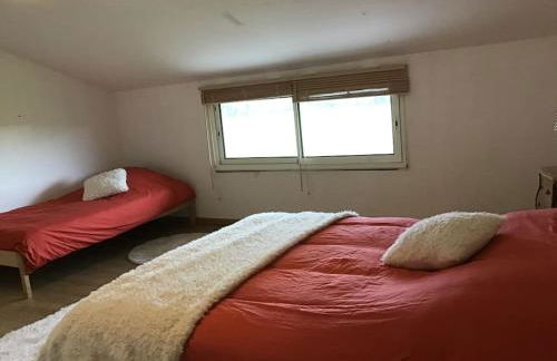 La chollerie de Marmaju - Foto 16