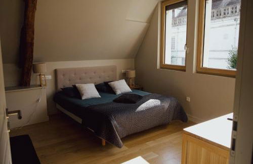 Appartements Domaine Gueguen Chablis - Foto 8