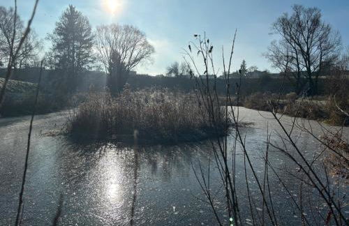 Schorsch's Ferienhaus - Foto 39