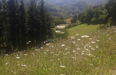 Casa Gloria - Foto 20