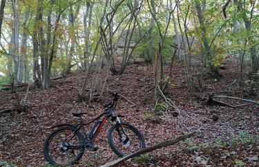 Eifelferienkurth - Photo 79