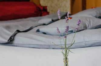 Hof Osterholz - Foto 17